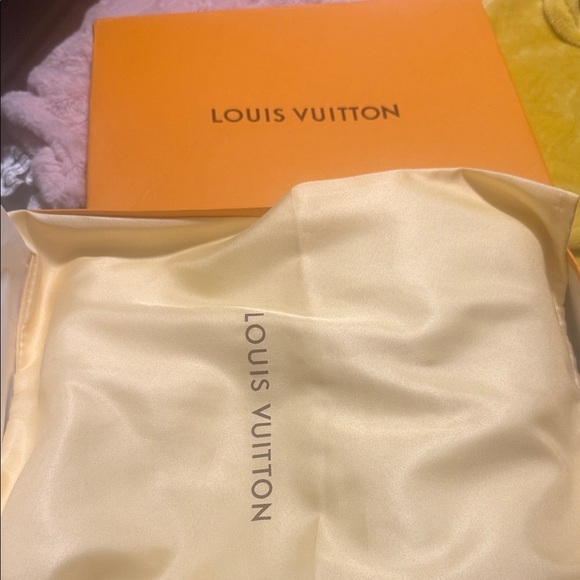 Louis Vuitton Tangerine Box with Silver Logo - Picture 9 of 10